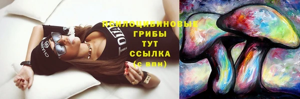 амф Алексеевка