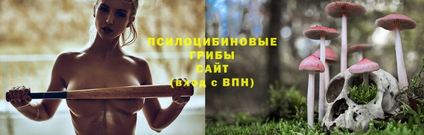 винт Осташков