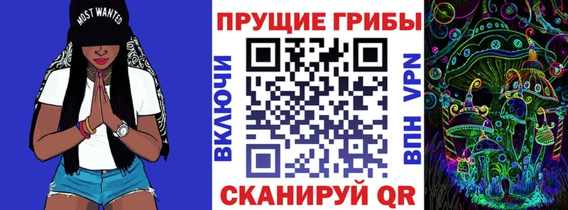наркотики  Лермонтов  Псилоцибиновые грибы Magic Shrooms 